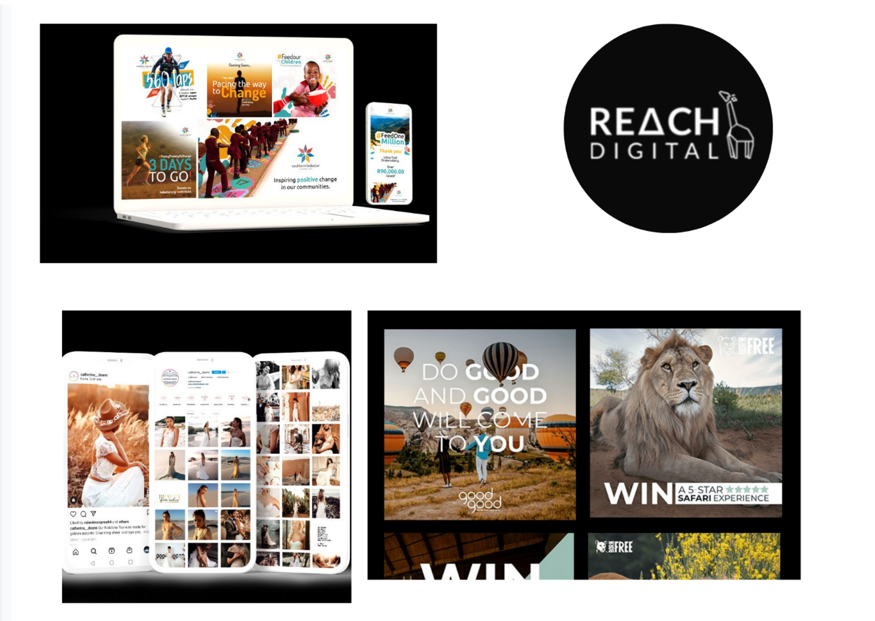 Local Brand Growth: Expert Cape Town Agency Insights Local Brand Growth: Expert Cape Town Agency Insights