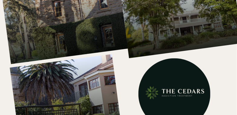 Choosing the Right Digital Marketing Partner in South Africa